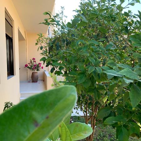 Antonis Chania City Family House Dış mekan fotoğraf